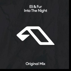 Into the Night