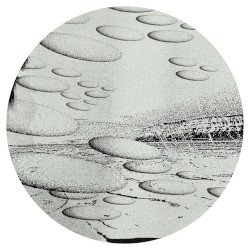FR029