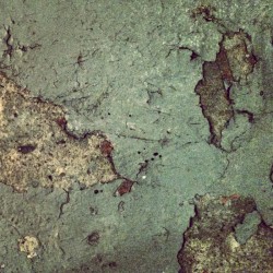 Basement Demos