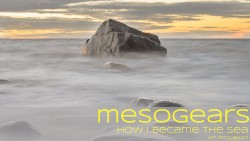 How I Became the Sea