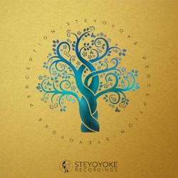 Steyoyoke Perception, Vol. 07