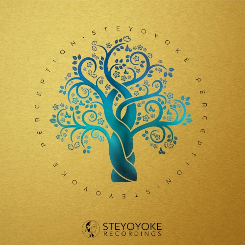 Steyoyoke Perception, Vol. 07
