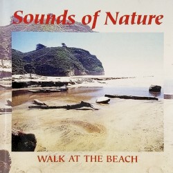 Sounds of Nature - Walk at the Beach