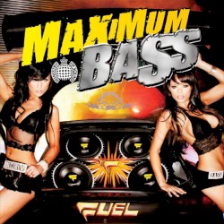 Ministry of Sound: Maximum Bass