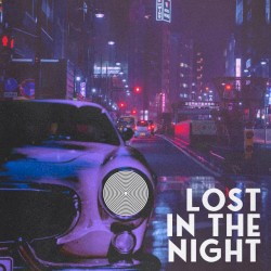 Lost In The Night