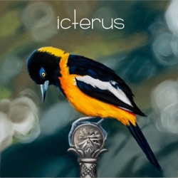 Icterus II
