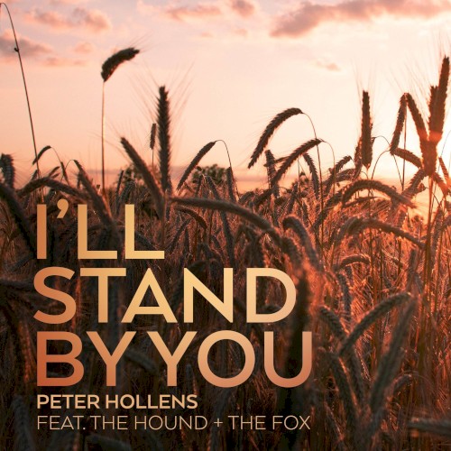 I'll Stand By You
