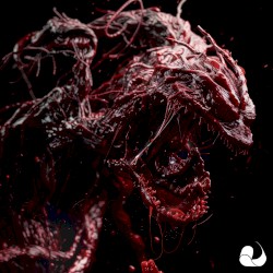 Feel the Bass