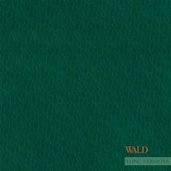 Wald EP (Long Versions)