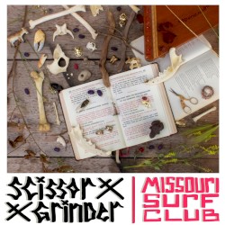 scissor grinder