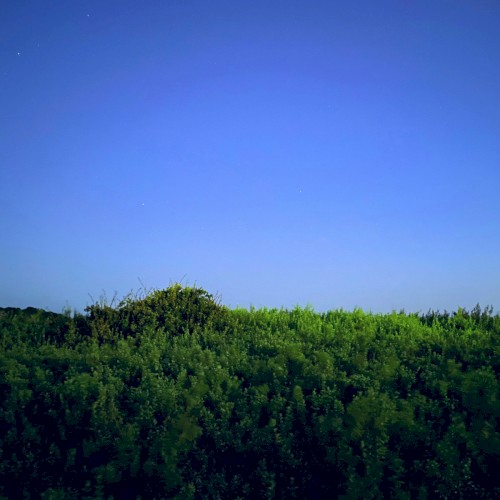 Hayama Ambient
