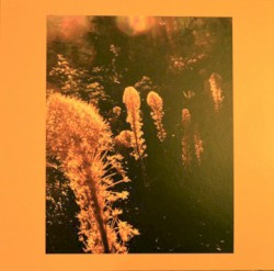 Spring Reverb