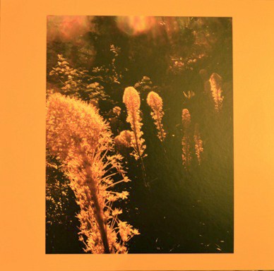 Spring Reverb