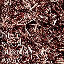DEEP SNOW BURNED AWAY