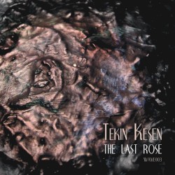 The Last Rose