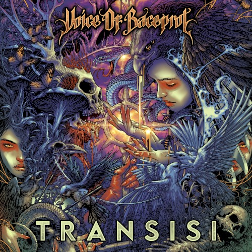 TRANSISI