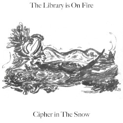Cipher in The Snow
