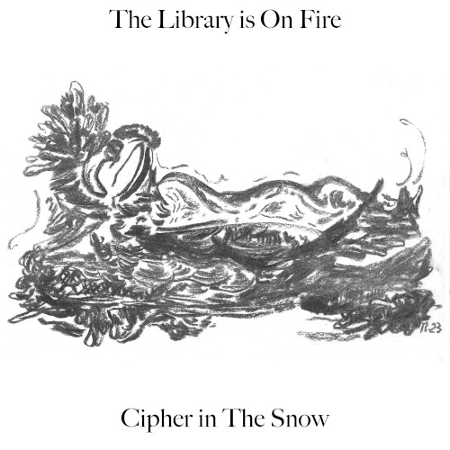 Cipher in The Snow