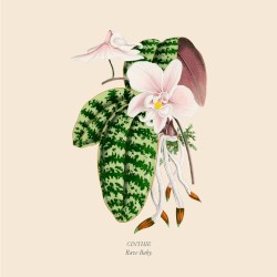 Rave Baby EP