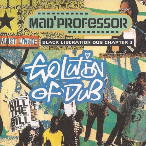 Black Liberation Dub, Chapter 3: Evolution of Dub
