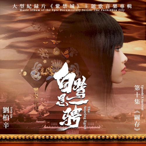 白鷺思一騁
