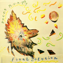 Final Solution