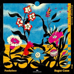 Sugar Cane