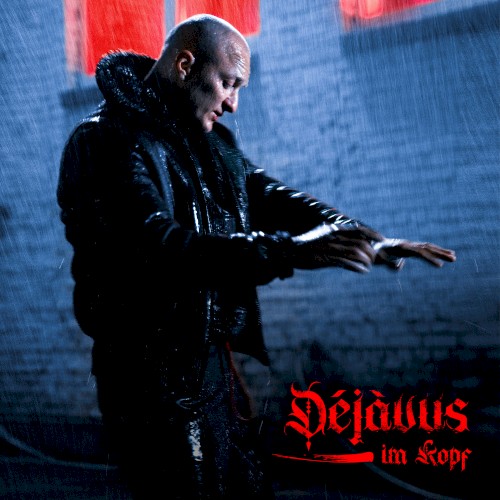 Déjàvus im Kopf
