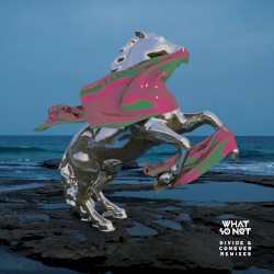 Divide & Conquer (Remixes)
