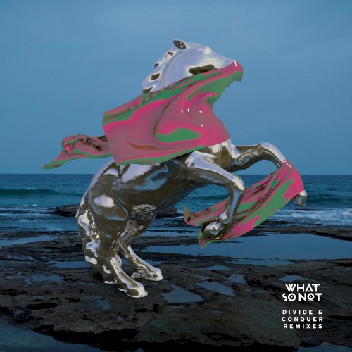 Divide & Conquer (Remixes)