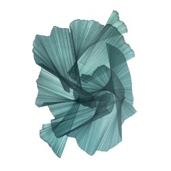 Formations