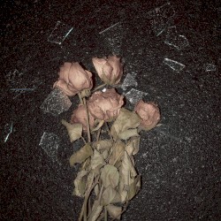 Tote Rosen