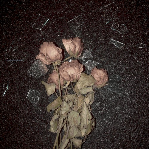 Tote Rosen