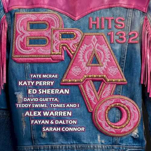 Bravo Hits 132