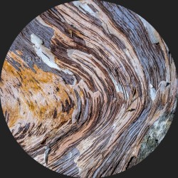 Wooden Tales