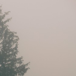 Something in the Air