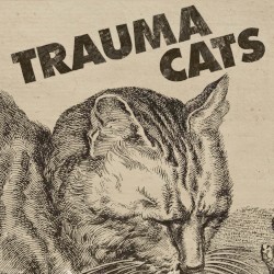 Trauma Cats