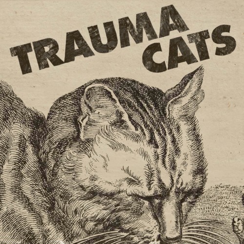 Trauma Cats