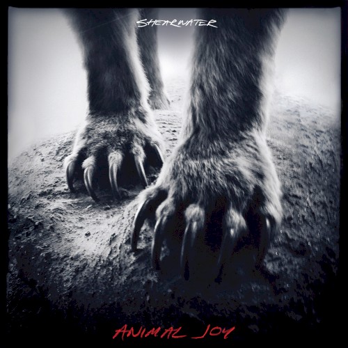 Animal Joy
