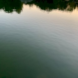 Wavelets