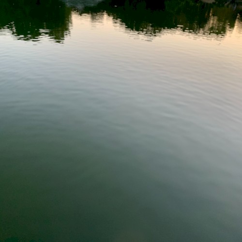 Wavelets