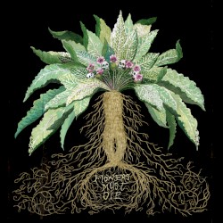 Flowers Must Die