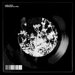 Continuum B/W Fate