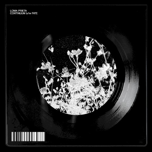 Continuum B/W Fate