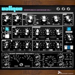 Adventures in Acid Boogie Vol. 1