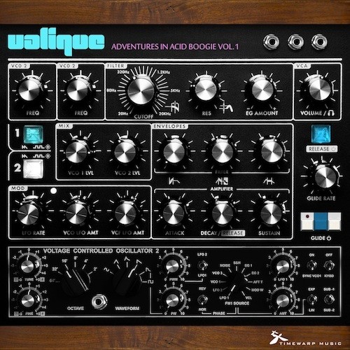 Adventures in Acid Boogie Vol. 1