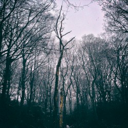 Liminal