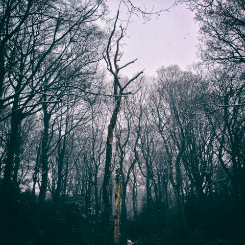 Liminal