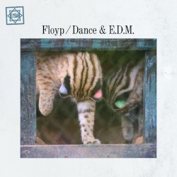 Dance & E.D.M.