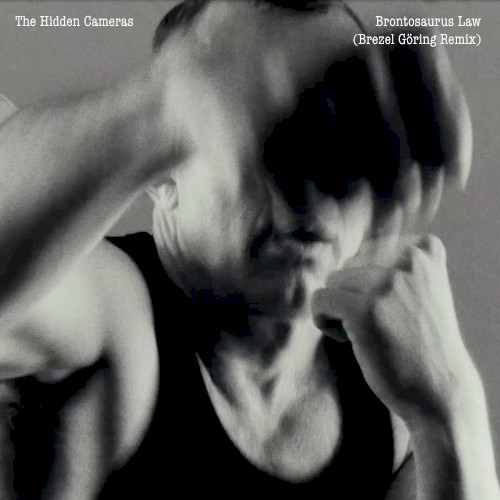 Brontosaurus Law (Brezel Göring remix)